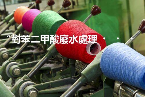 “對苯二甲酸廢水處理，綠色創(chuàng)新引領(lǐng)環(huán)保新篇章”